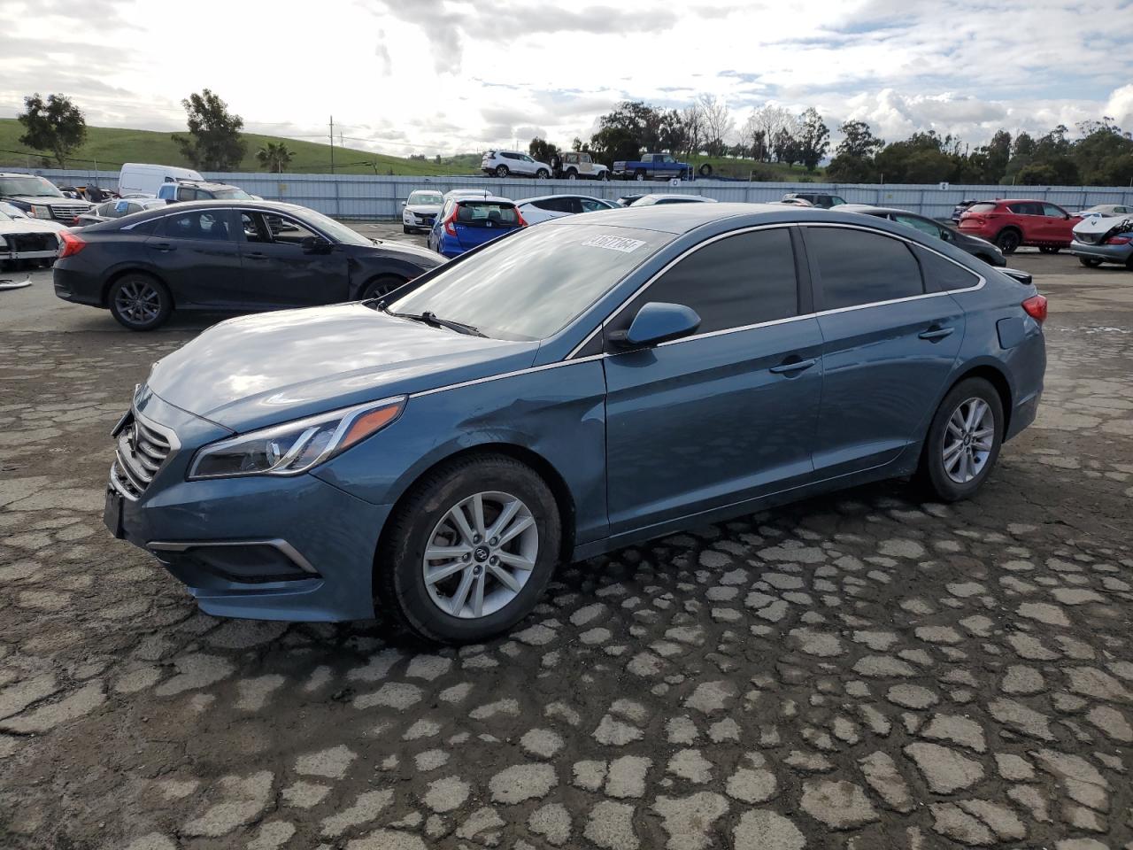 HYUNDAI SONATA 2016 5npe24af3gh354411