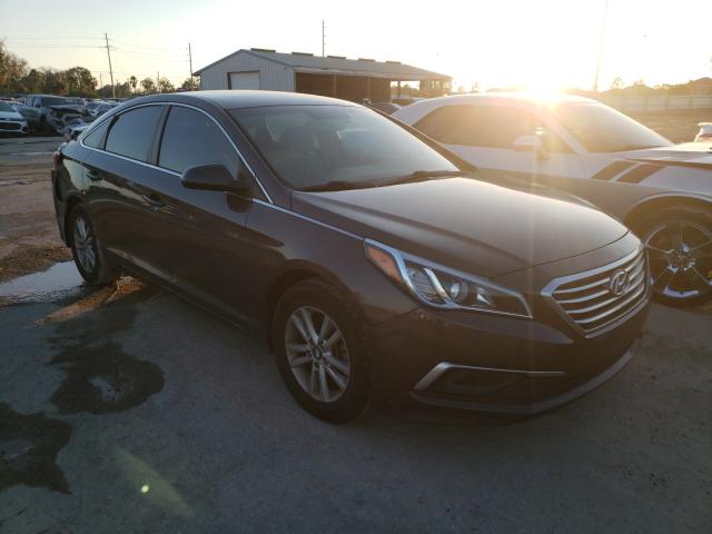 HYUNDAI SONATA SE 2016 5npe24af3gh360855