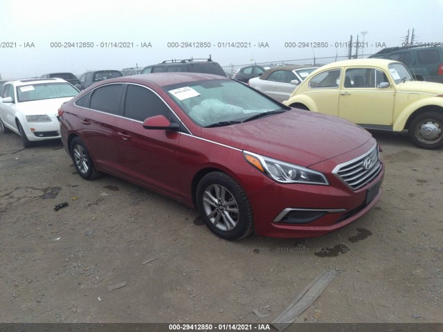 HYUNDAI SONATA 2016 5npe24af3gh364565