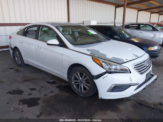 HYUNDAI SONATA 2016 5npe24af3gh366137