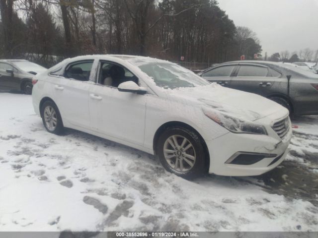 HYUNDAI SONATA 2016 5npe24af3gh367630