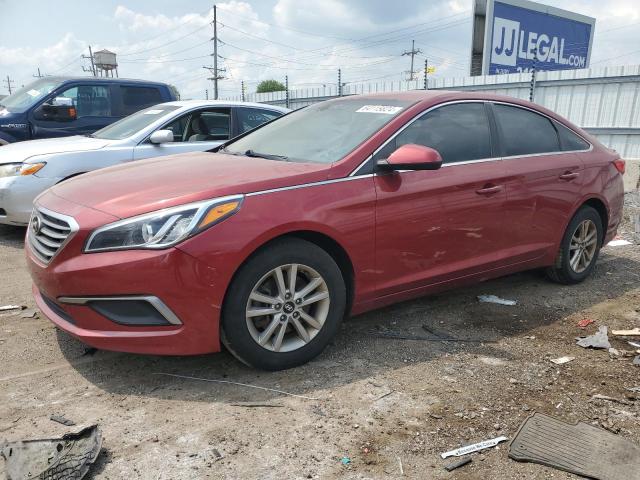 HYUNDAI SONATA SE 2016 5npe24af3gh372701