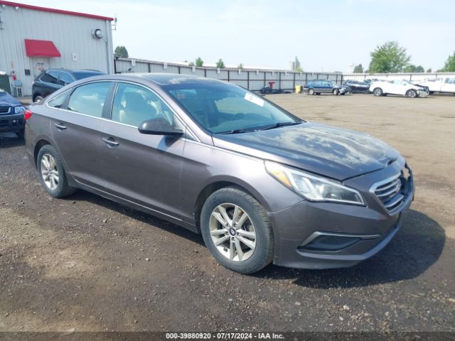 HYUNDAI SONATA 2016 5npe24af3gh372715