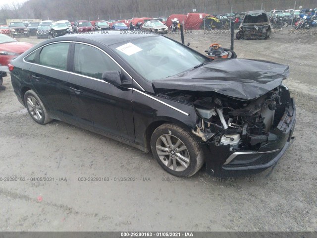 HYUNDAI SONATA 2016 5npe24af3gh376506