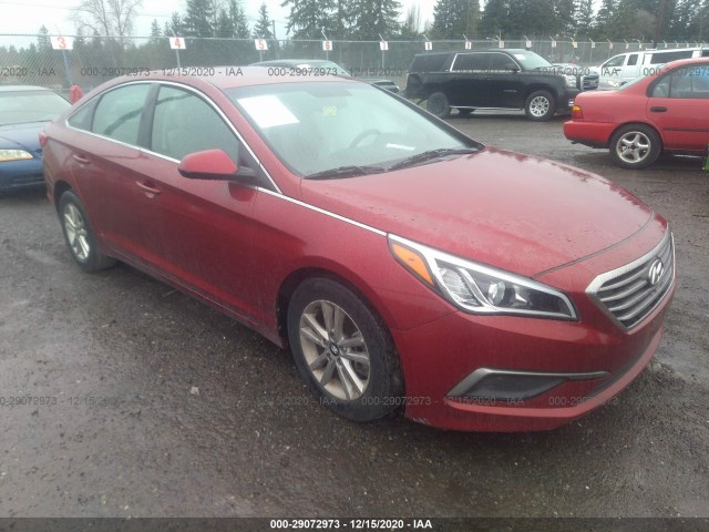 HYUNDAI SONATA 2016 5npe24af3gh376859