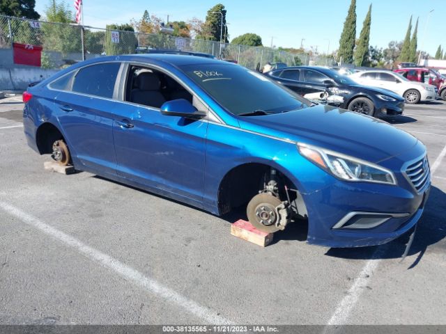 HYUNDAI SONATA 2016 5npe24af3gh379499