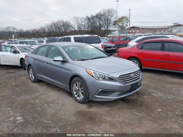 HYUNDAI SONATA 2016 5npe24af3gh383374