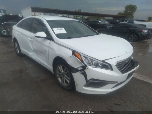 HYUNDAI SONATA 2016 5npe24af3gh383858