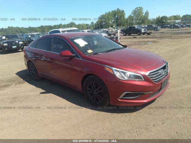 HYUNDAI SONATA 2016 5npe24af3gh384914