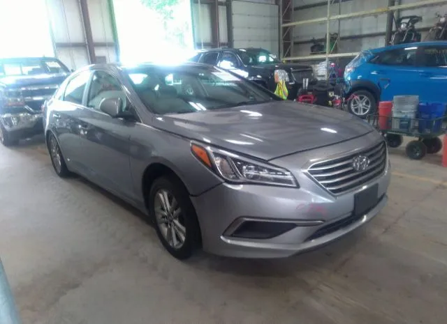 HYUNDAI SONATA 2016 5npe24af3gh390163