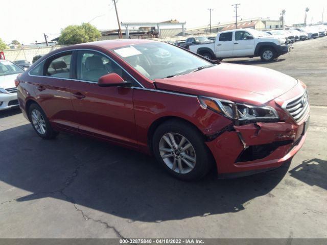 HYUNDAI SONATA 2016 5npe24af3gh390213