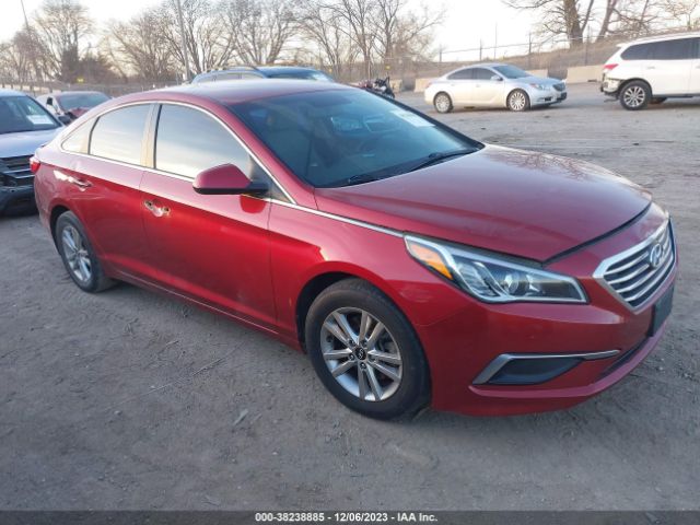 HYUNDAI SONATA 2016 5npe24af3gh390521