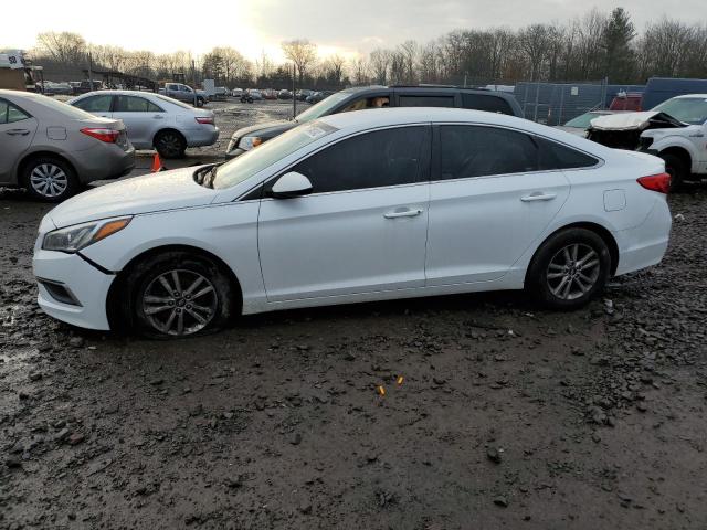 HYUNDAI SONATA SE 2016 5npe24af3gh392995