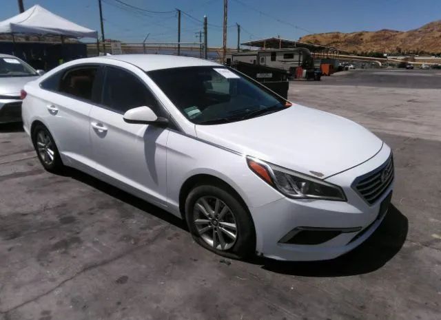 HYUNDAI SONATA 2016 5npe24af3gh395296