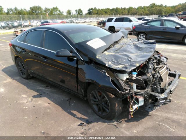 HYUNDAI SONATA 2016 5npe24af3gh395427