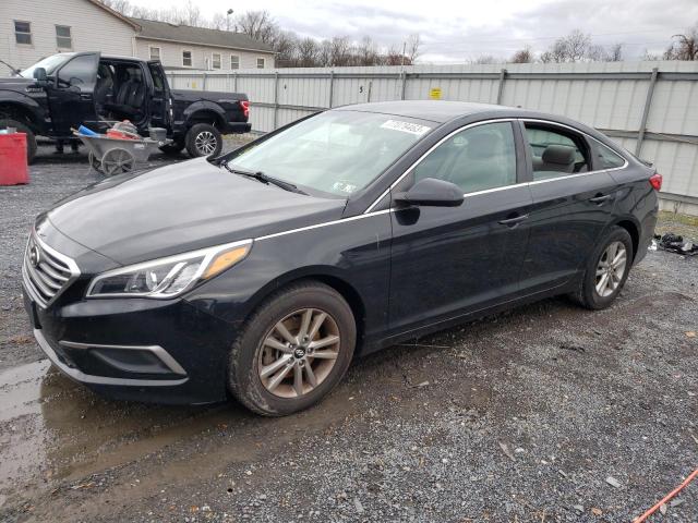 HYUNDAI SONATA 2016 5npe24af3gh395458