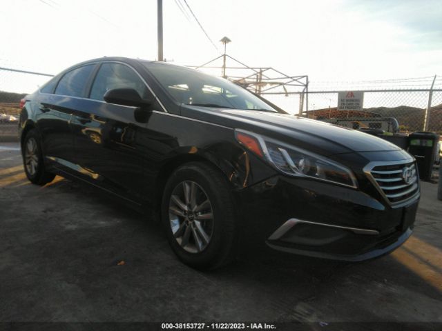 HYUNDAI SONATA 2016 5npe24af3gh401291