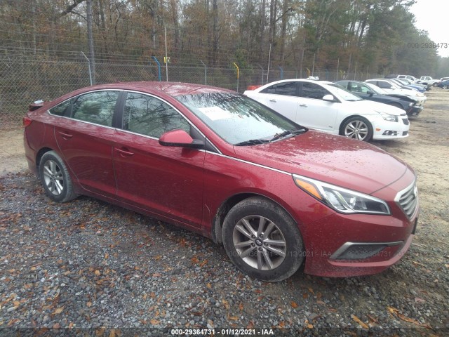 HYUNDAI SONATA 2016 5npe24af3gh402179