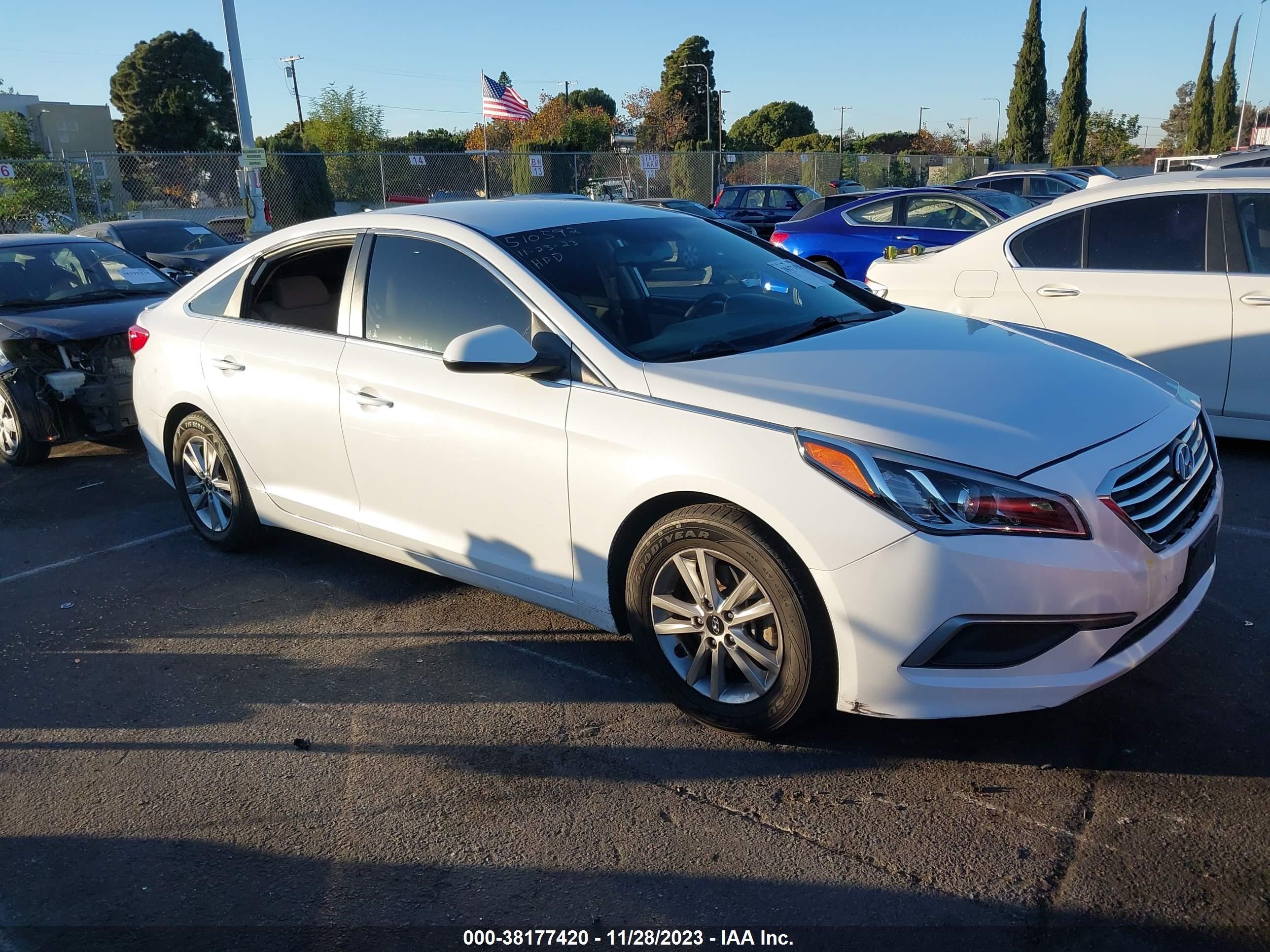 HYUNDAI SONATA 2016 5npe24af3gh403431