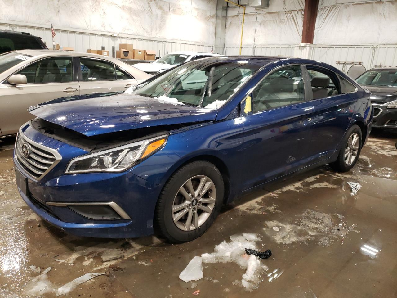 HYUNDAI SONATA SE 2016 5npe24af3gh405485