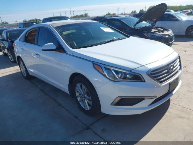 HYUNDAI SONATA 2016 5npe24af3gh415868