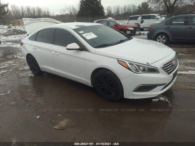 HYUNDAI SONATA 2016 5npe24af3gh417653