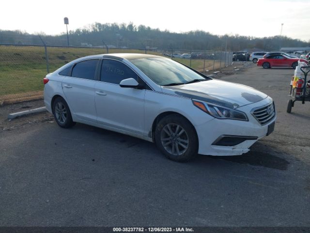 HYUNDAI SONATA 2016 5npe24af3gh418463