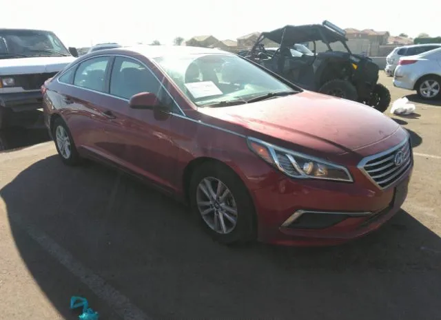 HYUNDAI SONATA 2016 5npe24af3gh418687