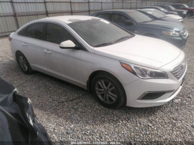 HYUNDAI SONATA 2016 5npe24af3gh423291