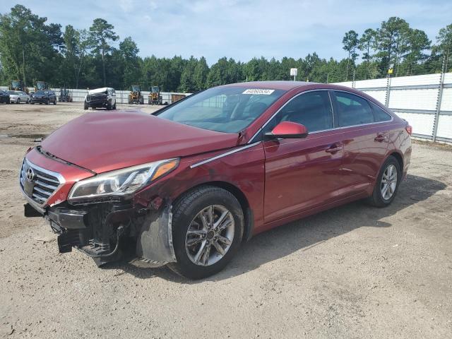 HYUNDAI SONATA 2016 5npe24af3gh429849