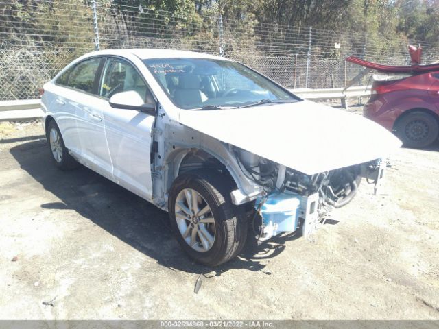 HYUNDAI SONATA 2017 5npe24af3hh446409