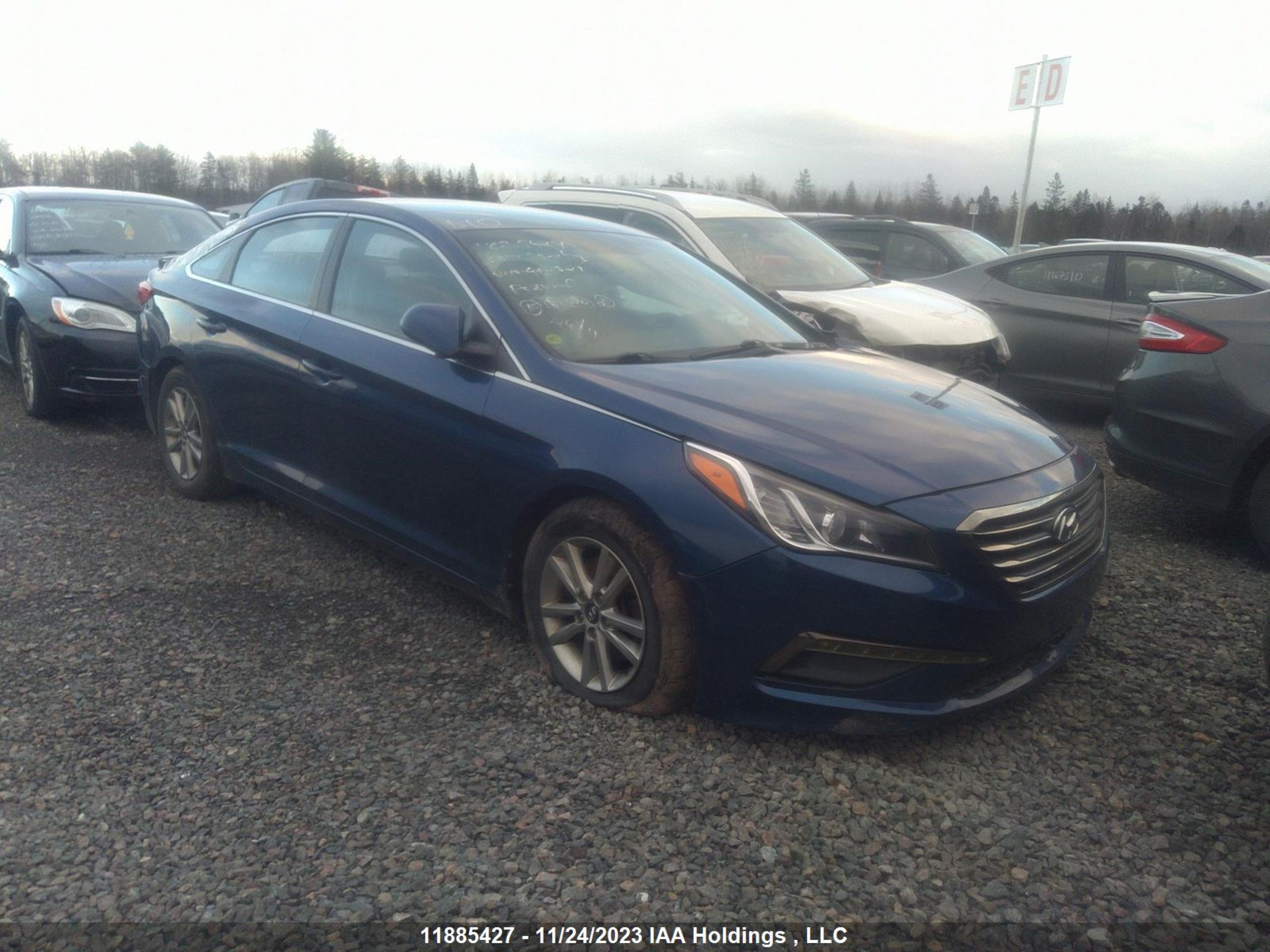 HYUNDAI SONATA 2017 5npe24af3hh462321