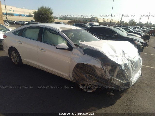 HYUNDAI SONATA 2017 5npe24af3hh478146