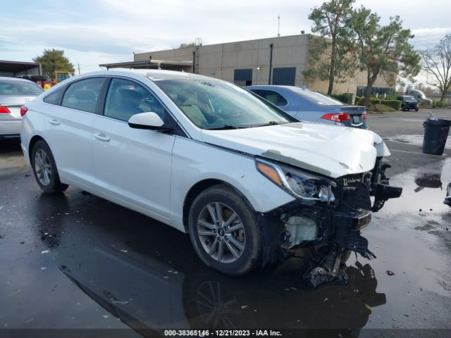 HYUNDAI SONATA 2017 5npe24af3hh485615