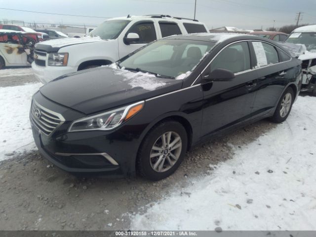 HYUNDAI SONATA 2017 5npe24af3hh487977