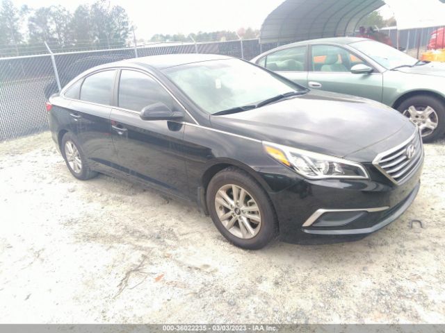 HYUNDAI SONATA 2017 5npe24af3hh489969