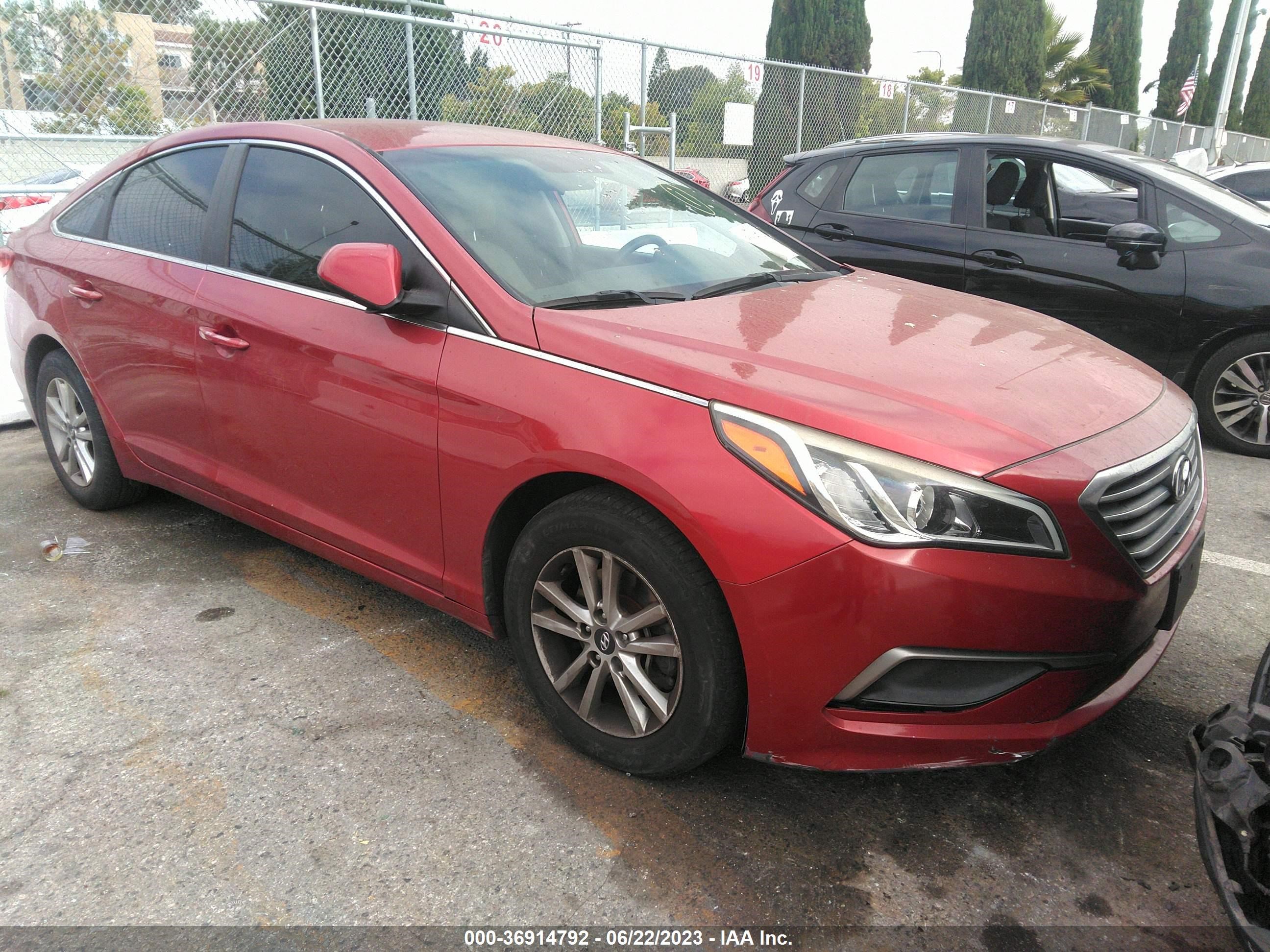 HYUNDAI SONATA 2017 5npe24af3hh491513