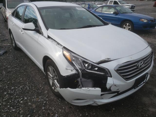 HYUNDAI SONATA SE 2017 5npe24af3hh494346