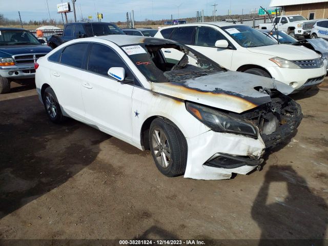 HYUNDAI SONATA 2017 5npe24af3hh498347