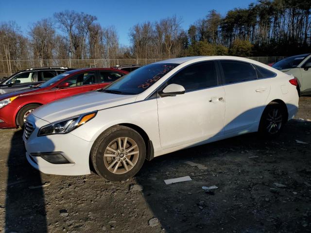 HYUNDAI SONATA 2017 5npe24af3hh500551