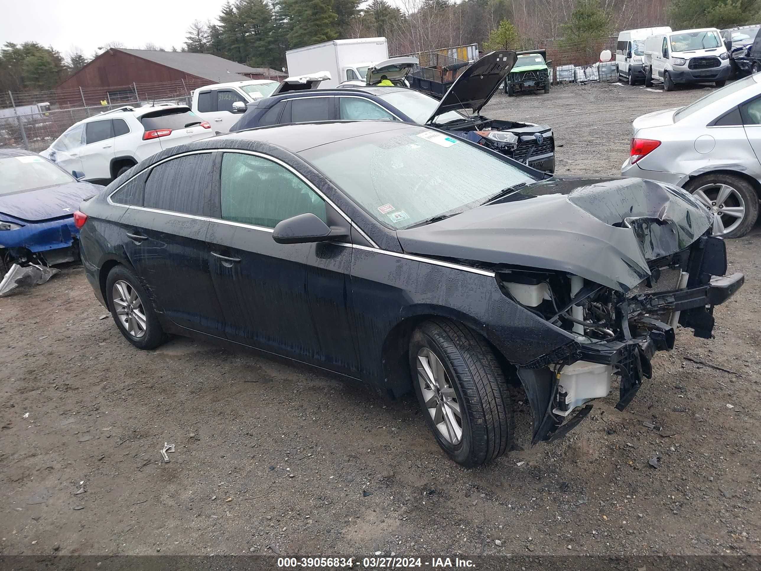 HYUNDAI SONATA 2017 5npe24af3hh506270