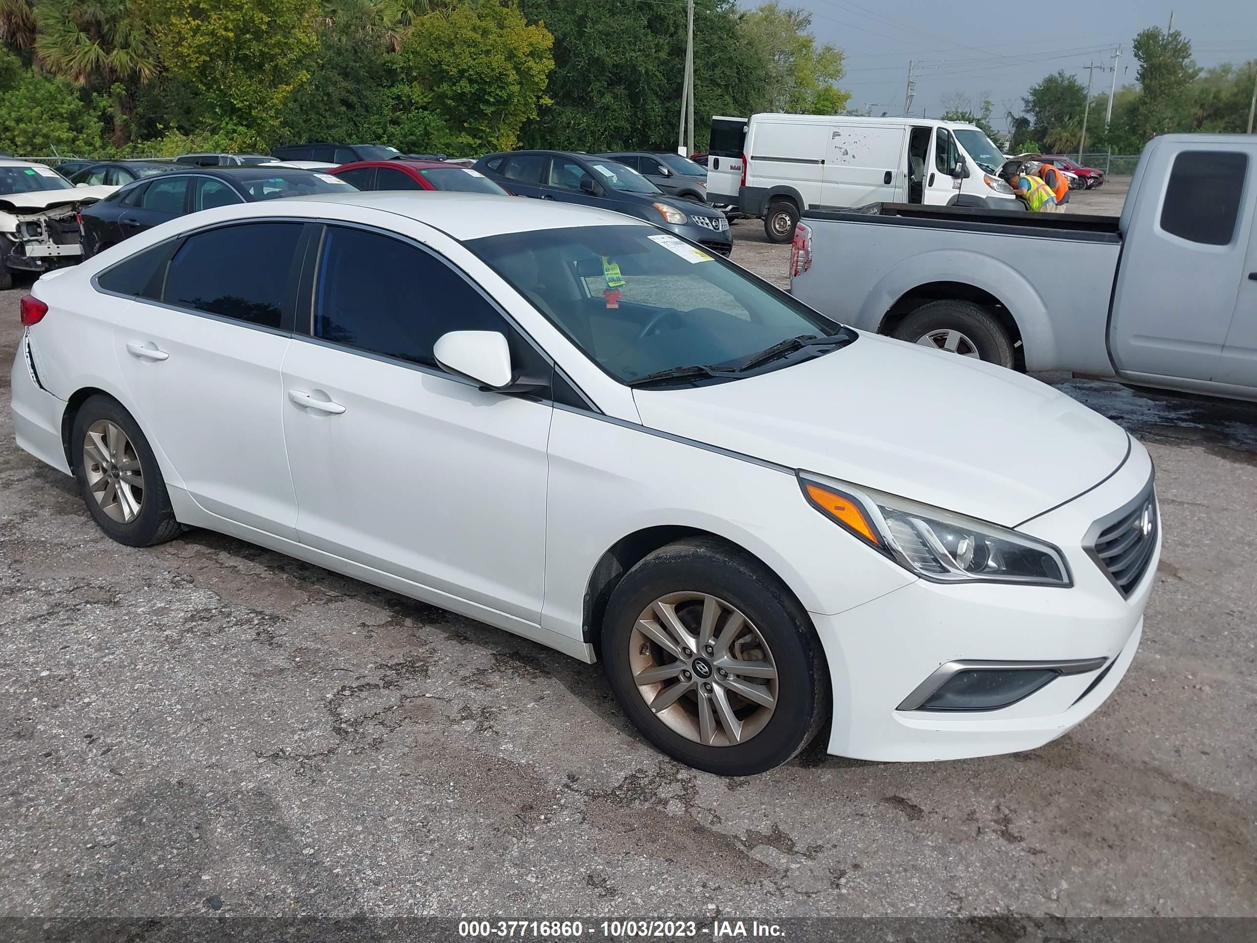 HYUNDAI SONATA 2017 5npe24af3hh507273