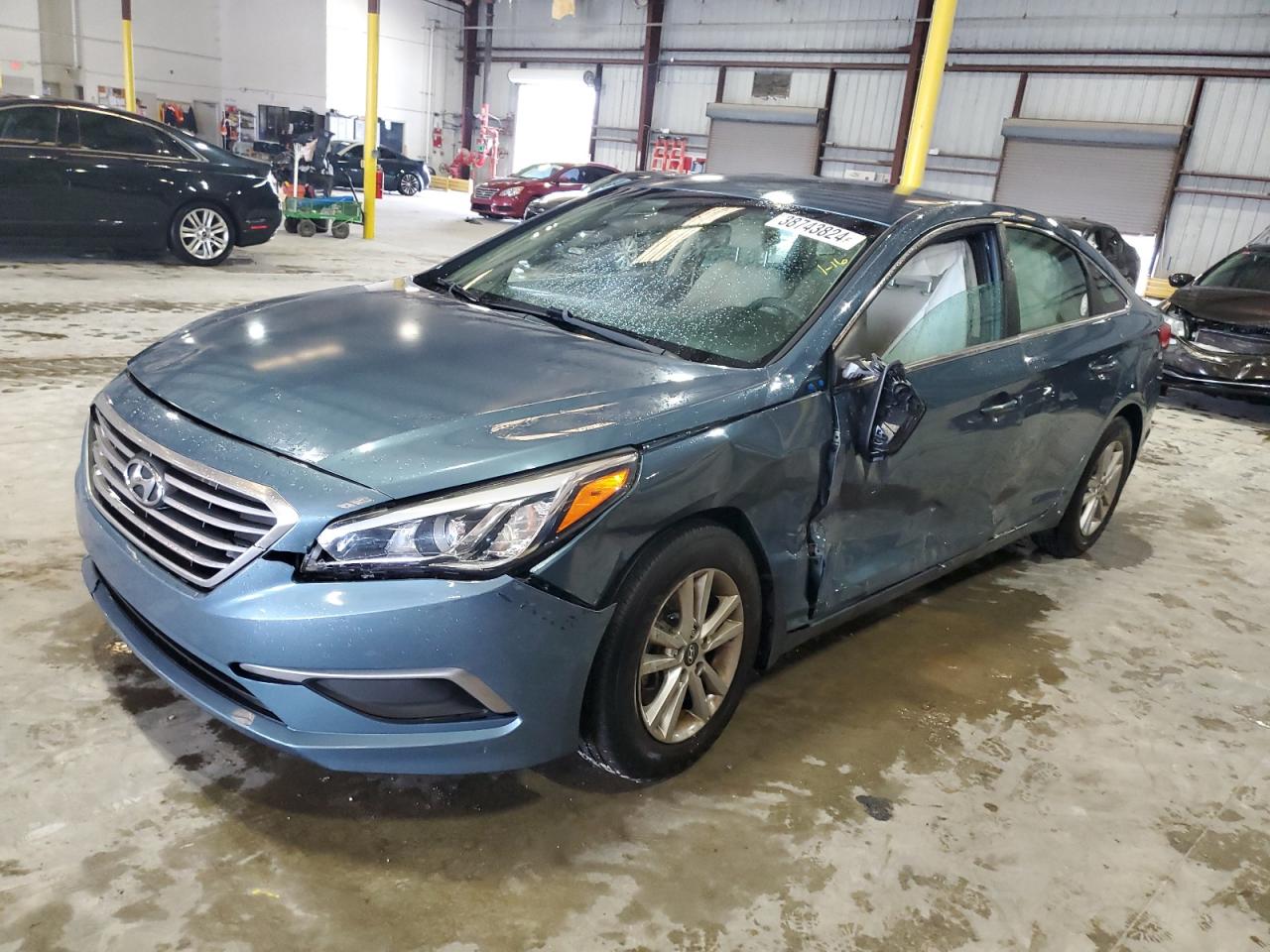 HYUNDAI SONATA 2017 5npe24af3hh508326