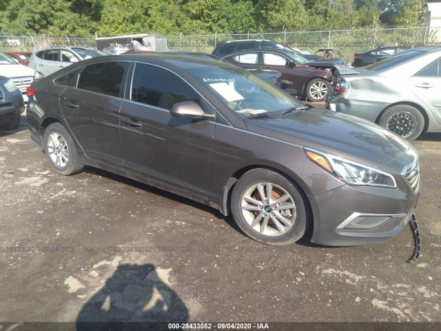 HYUNDAI SONATA 2017 5npe24af3hh511498