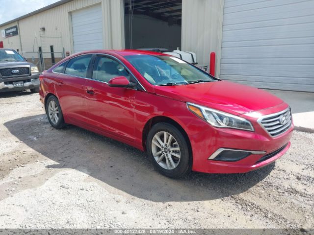 HYUNDAI SONATA 2017 5npe24af3hh520105