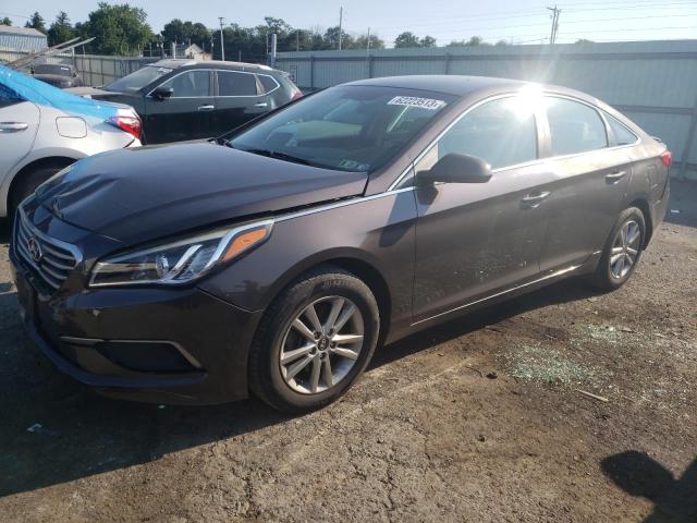 HYUNDAI SONATA 2017 5npe24af3hh523313