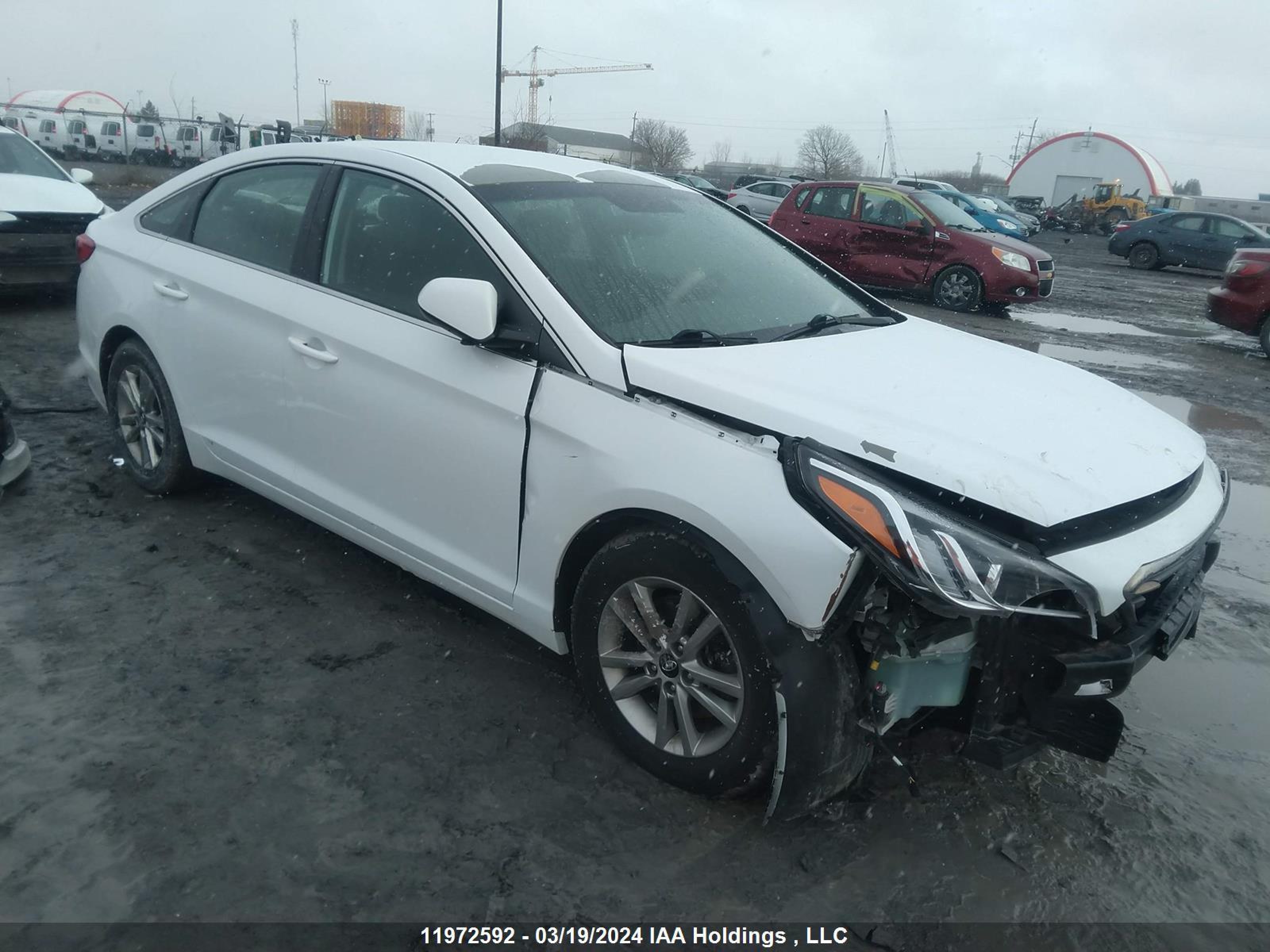 HYUNDAI SONATA 2017 5npe24af3hh526759