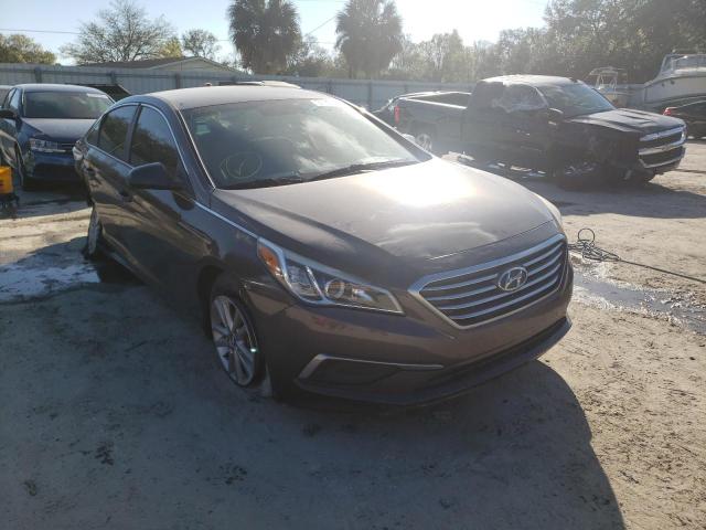 HYUNDAI SONATA SE 2017 5npe24af3hh526891