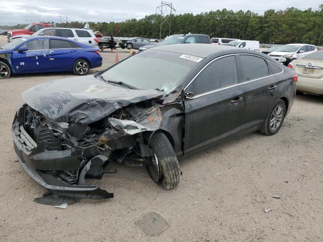 HYUNDAI SONATA 2017 5npe24af3hh527457