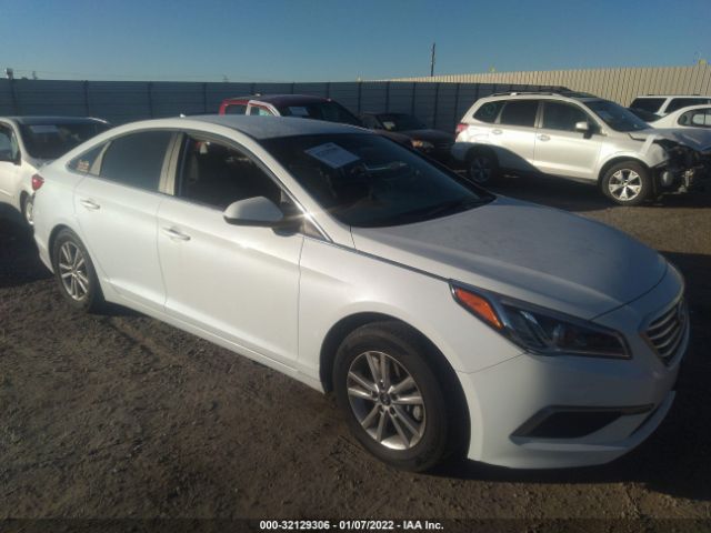 HYUNDAI SONATA 2017 5npe24af3hh533520